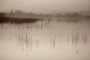 Lough Arrow by John Daly